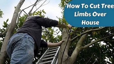 How To Cut Tree Limbs Over House