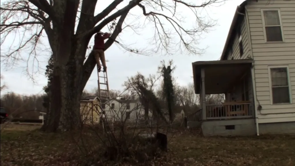 how to cut tree limbs over house