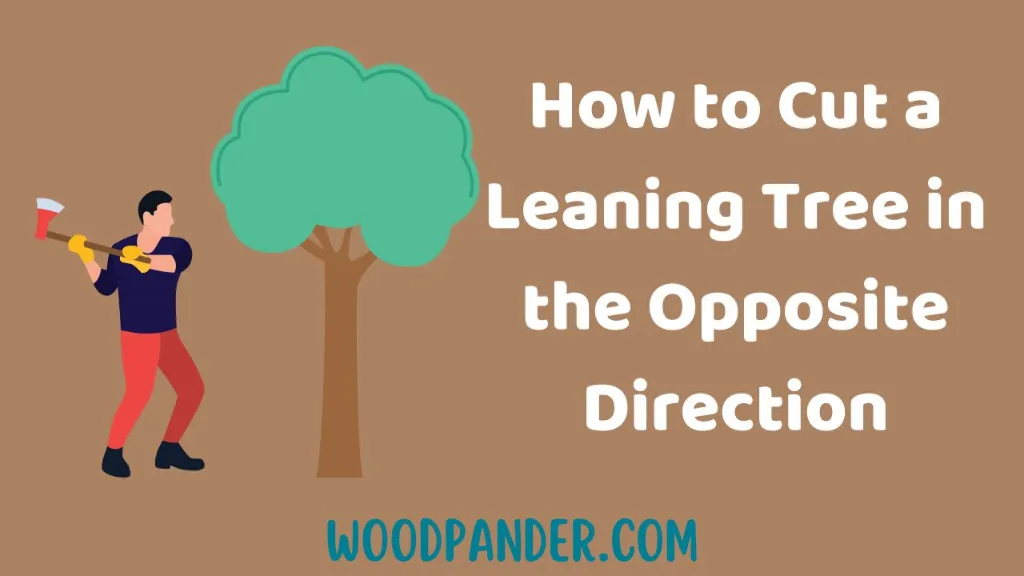 How to Cut a Leaning Tree in the Opposite Direction