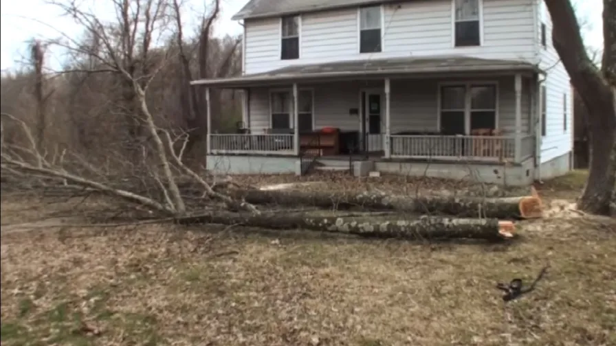 how to cut up a large tree on the ground