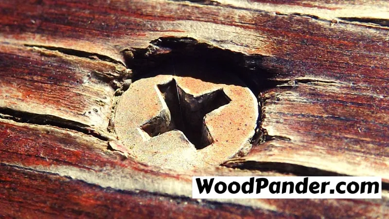 How To Fill Screw Holes In Wood Before Painting 