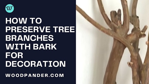 How To Preserve Tree Branches With Bark For Decoration