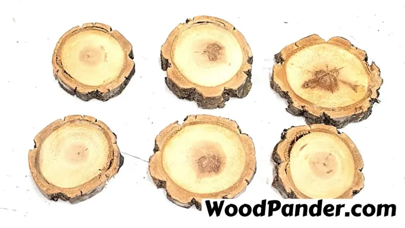 How to Preserve Wood Slices with Bark