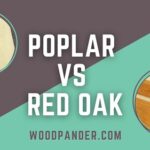 Poplar Vs Red Oak