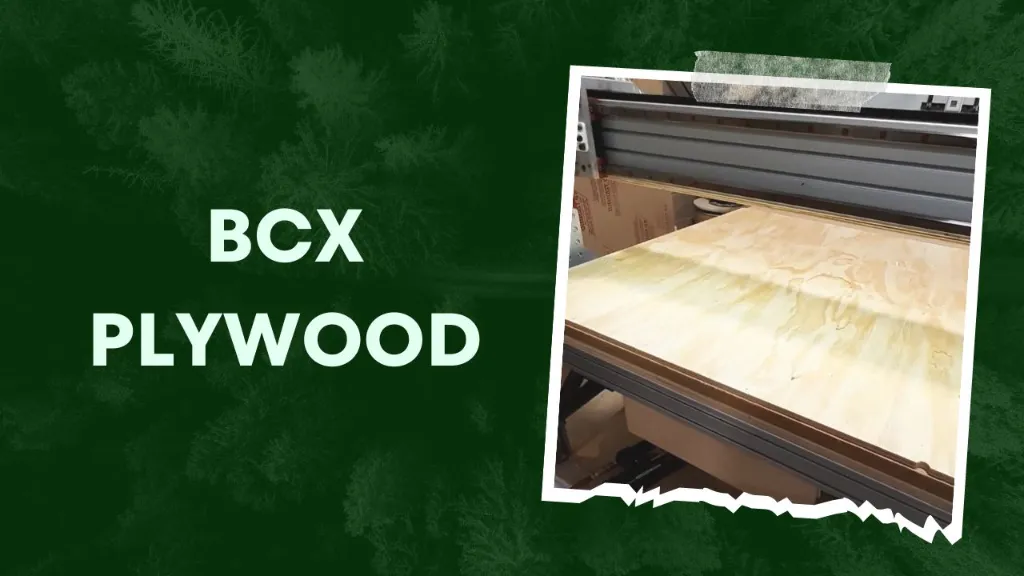 BCX Plywood