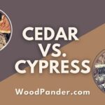 Cedar vs Cypress Wood