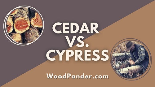 Cedar vs Cypress Wood