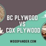 BC Plywood vs CDX