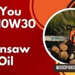 Can You Use 10W30 For Chainsaw Bar Oil