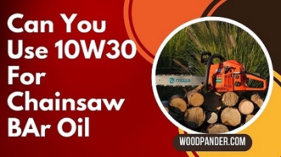 Can You Use 10W30 For Chainsaw Bar Oil