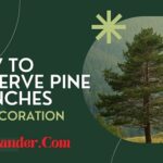 How to Preserve Pine Branches for Decoration