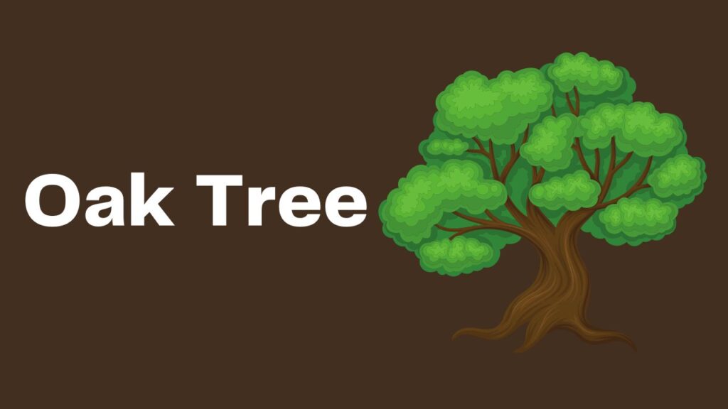 Oak Tree Weight Calculator