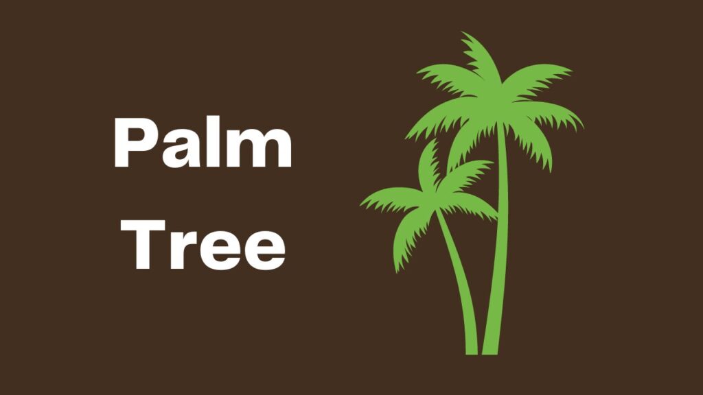 Palm Tree Weight Calculator