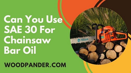 Can You Use SAE 30 For Chainsaw Bar Oil